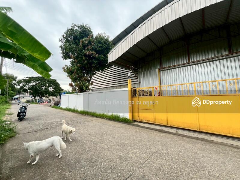 ขาย - ที่ดินเปล่า ซอยวัดเปรมประชากร ใกล้เวร์คพอยท์ ถนนรังสิต–ปทุมธานี ต.บางพูน อ.เมืองปทุมธานี จ.ปทุมธาน, ปทุมธานี