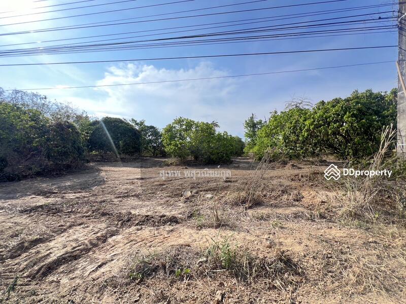 For Sale - Land for Sale: 7+ Rai on 4-Lane Road (Highway 3193), Pong Nam Ron, Chanthaburi, Chanthaburi