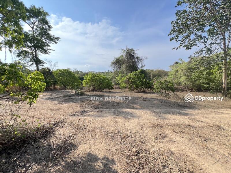 For Sale - Land for Sale: 7+ Rai on 4-Lane Road (Highway 3193), Pong Nam Ron, Chanthaburi, Chanthaburi
