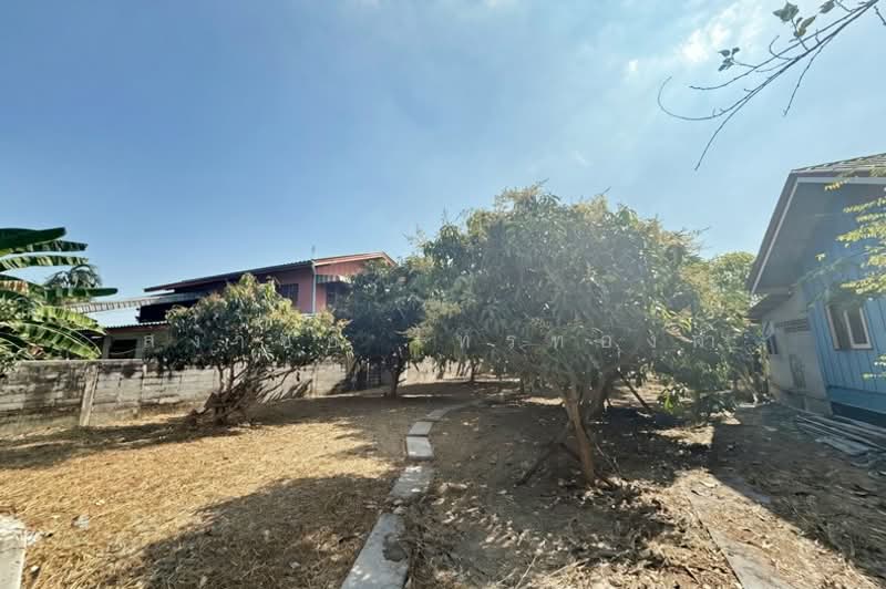 ขายที่ดินถมแล้ว 111 ตารางวา ซอยไอยรา14 คลองหลวง คลองสอง, Pathum Thani, ซอยไอยรา14 หรือ ซอยไอยรา13 ถนนเอราวัณ1, Khlong Song, Khlong Luang, Pathum Thani, , 444 sqm, Land For Sale, by สง่าชัย ไทรทองคำ, 60135032 - DDproperty.com