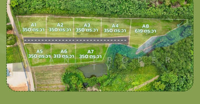 ขาย - Prime Land เขาใหญ่, นครราชสีมา