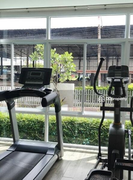 For Sale - T-Plus Condo Amatanakorn, Chon Buri