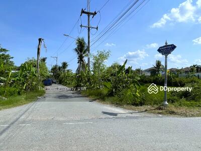ขาย - ที่ดินพุทธมณฑล นครปฐม, นครปฐม