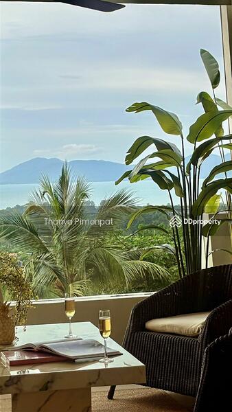 ขาย - Azur Samui : แอชเชอร์ สมุย, สุราษฎร์ธานี