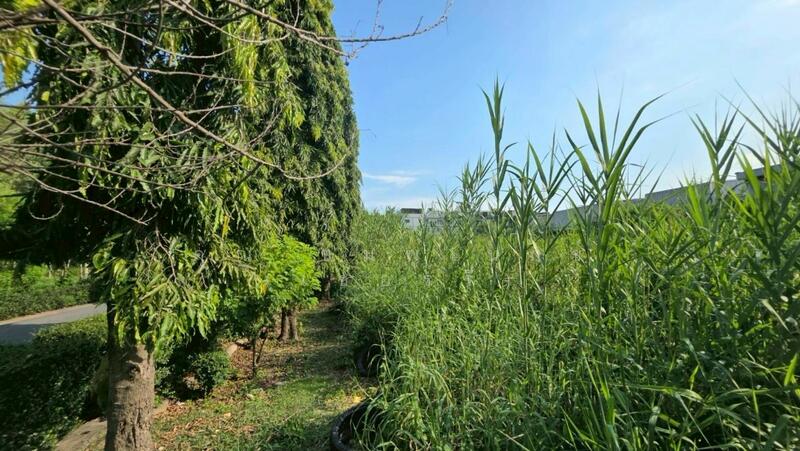 ที่ดินเปล่า 7-1-20 ไร่ อ่อนนุช 88/1 ประเวศ แบ่งขายได้, กรุงเทพ, อ่อนนุช, ประเวศ, ประเวศ, กรุงเทพ, 11,680 ตร.ม., ที่ดิน ขาย, โดย คุณ พลอยวาลินน์ (วาลินน์), 60135968 - ☎️โทร 093-969-5663 Line : @central_home - DDproperty.com