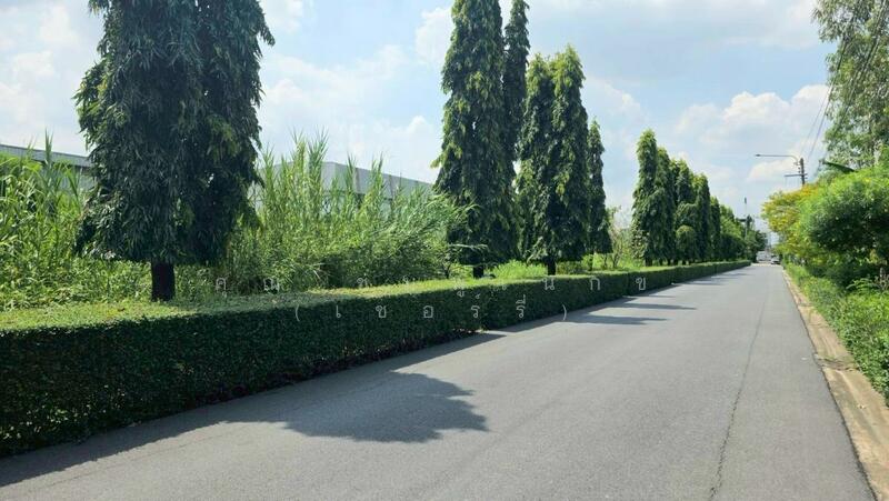 ที่ดินเปล่า 7-1-20 ไร่ อ่อนนุช 88/1 ประเวศ แบ่งขายได้, Bangkok, อ่อนนุช, Prawet, Prawet, Bangkok, , 11,680 sqm, Land For Sale, by คุณ พลอยวาลินน์ (วาลินน์), 60135968 - ☎️โทร 093-969-5663 Line : @central_home - DDproperty.com