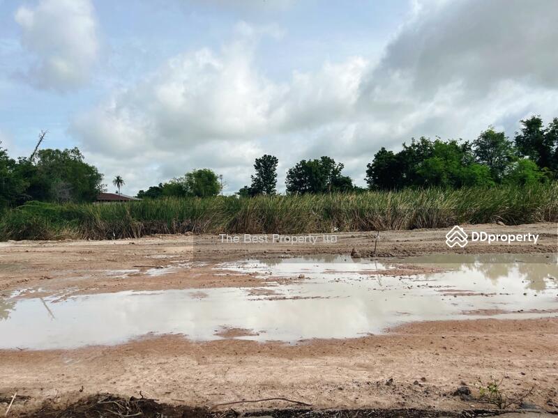 ขาย - ที่ดินหนองฉาง อุทัยธานี, อุทัยธานี