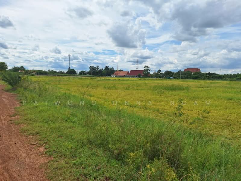 73180, Nakhon Pathom, Sra Phatthana, Kamphaeng Saen, Nakhon Pathom, , 6,502 sqm, Land For Sale, by Paiwong Onna-nam, 60136296 - DDproperty.com