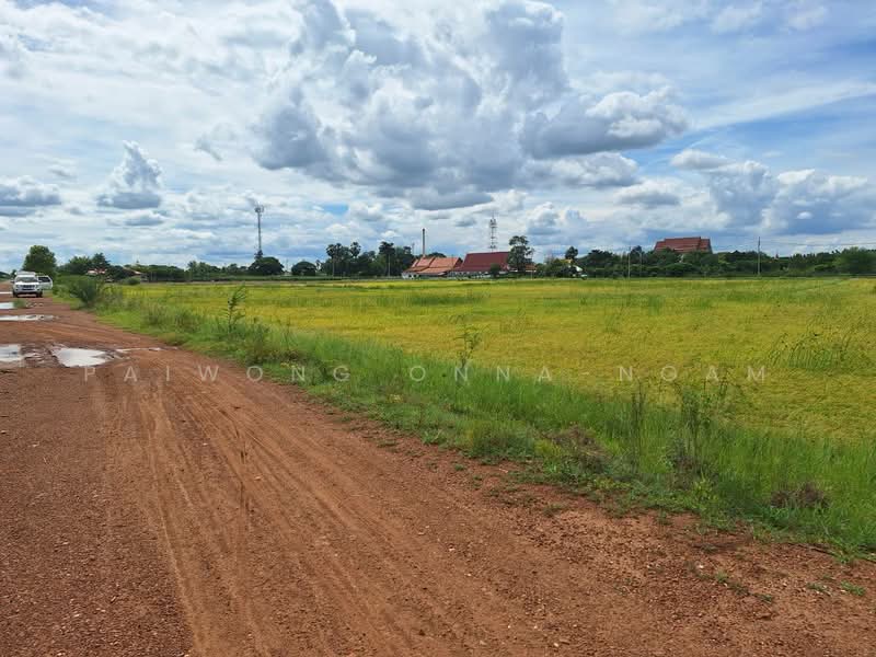 73180, Nakhon Pathom, Sra Phatthana, Kamphaeng Saen, Nakhon Pathom, , 6,502 sqm, Land For Sale, by Paiwong Onna-nam, 60136296 - DDproperty.com