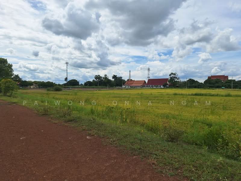 73180, นครปฐม, สระพัฒนา, กำแพงแสน, นครปฐม, 6,502 ตร.ม., ที่ดิน ขาย, โดย paiwong onna-ngam, 60136296 - DDproperty.com