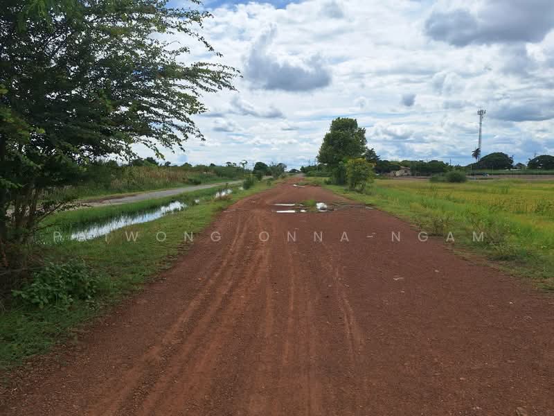 73180, Nakhon Pathom, Sra Phatthana, Kamphaeng Saen, Nakhon Pathom, , 6,502 sqm, Land For Sale, by Paiwong Onna-nam, 60136296 - DDproperty.com