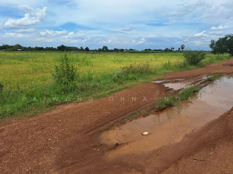 73180, Nakhon Pathom, Sra Phatthana, Kamphaeng Saen, Nakhon Pathom, , 6,502 sqm, Land For Sale, by Paiwong Onna-nam, 60136296 - DDproperty.com