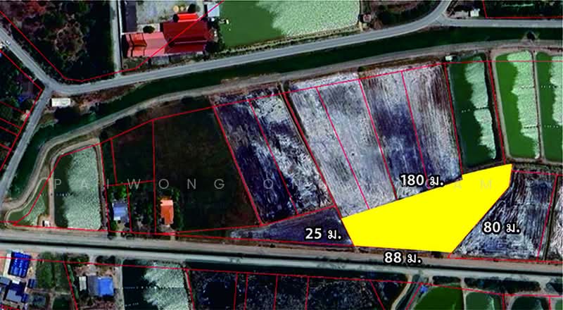 73180, Nakhon Pathom, Sra Phatthana, Kamphaeng Saen, Nakhon Pathom, , 6,502 sqm, Land For Sale, by Paiwong Onna-nam, 60136296 - DDproperty.com