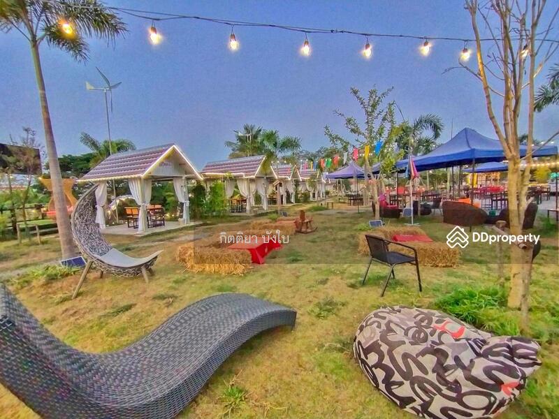 ขาย - ขายที่ดินพร้อมสิ่งปลูกสร้าง อำเภอนากลาง จังหวัดหนองบัวลำภู (ร้านอาหารเดิม) “คลองเพลง”, หนองบัวลำภู