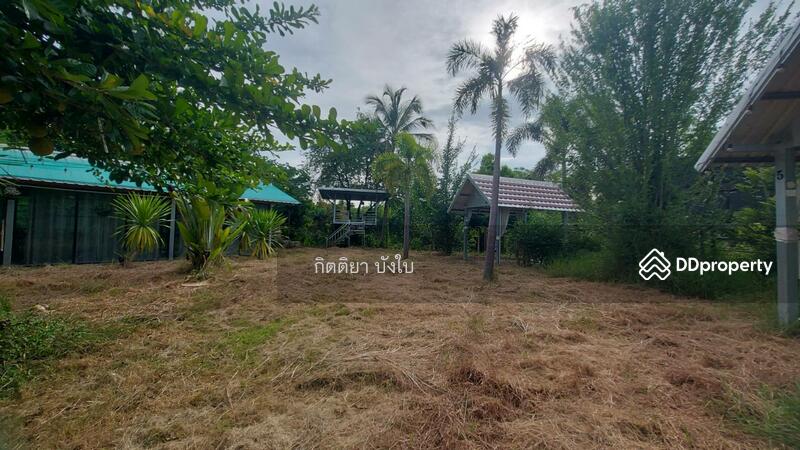 ขาย - ขายที่ดินพร้อมสิ่งปลูกสร้าง อำเภอนากลาง จังหวัดหนองบัวลำภู (ร้านอาหารเดิม) “คลองเพลง”, หนองบัวลำภู