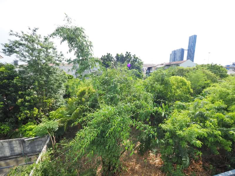 DEFINE by Mayfair Sukhumvit 50 : ดีฟายน์ บาย เมแฟร์ สุขุมวิท 50, กรุงเทพ, ซอยสุขุมวิท 50, พระโขนง, คลองเตย, กรุงเทพ, 33 ตร.ม., คอนโด ให้เช่า, โดย Nattanan Techatirapan, 60137865 - DDproperty.com