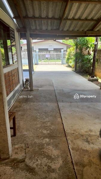 ให้เช่า - ต.ดอนแก้ว แม่ริม, เชียงใหม่