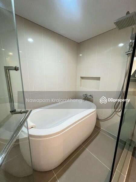 For Sale - Siamese Nang Linchee, Bangkok