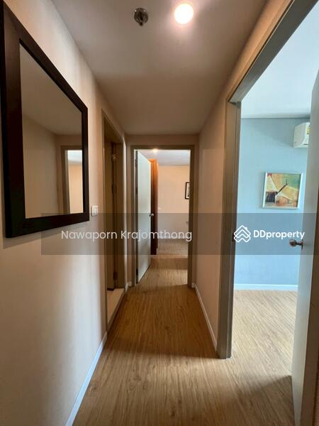 For Sale - Siamese Nang Linchee, Bangkok