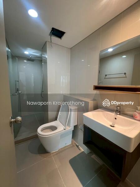 For Sale - Siamese Nang Linchee, Bangkok