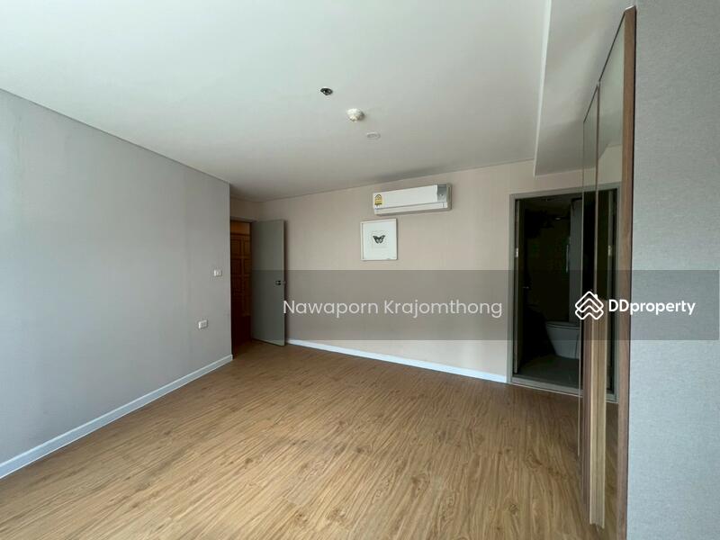 For Sale - Siamese Nang Linchee, Bangkok