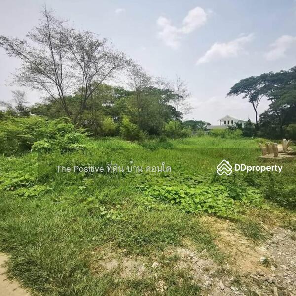 For Sale - Land Close to the City & New Business Districts, Chiang Mai