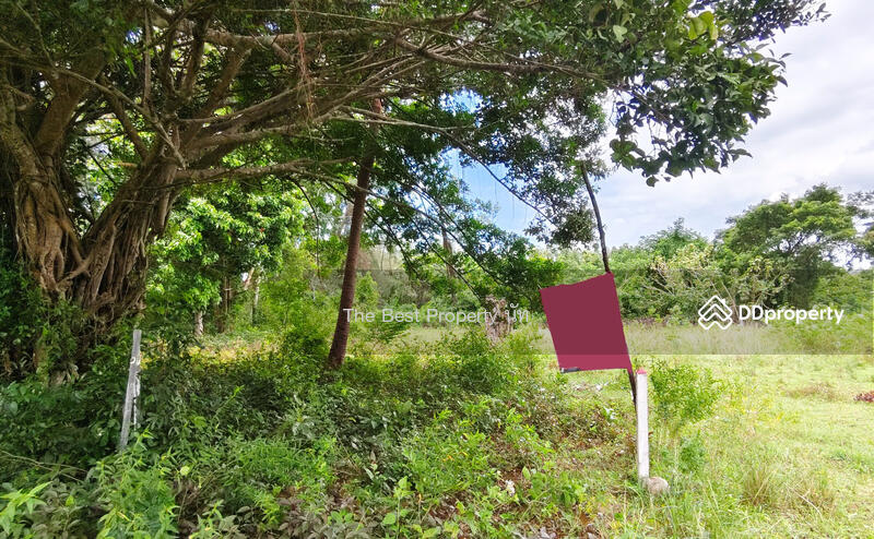 For Sale - ที่ดินท่าศาลา นครศรีธรรมราช, Nakhon Si Thammarat