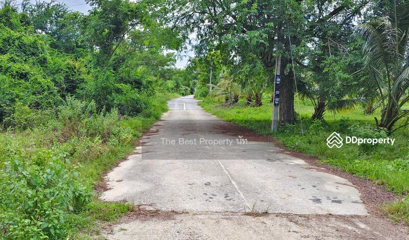 For Sale - ที่ดินท่าศาลา นครศรีธรรมราช, Nakhon Si Thammarat