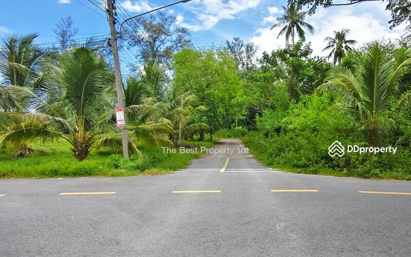 For Sale - ที่ดินท่าศาลา นครศรีธรรมราช, Nakhon Si Thammarat