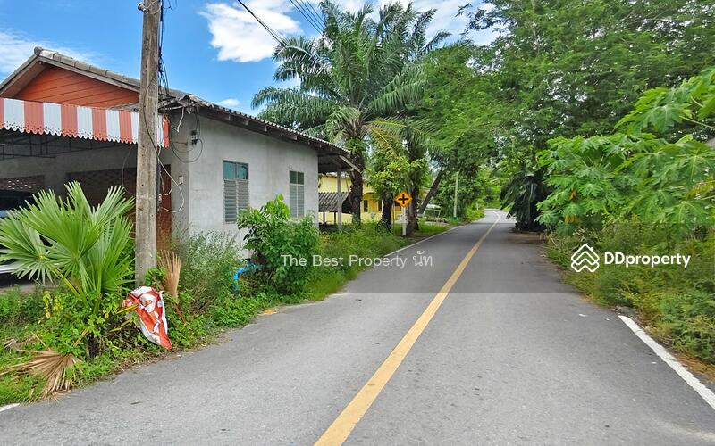 For Sale - ที่ดินท่าศาลา นครศรีธรรมราช, Nakhon Si Thammarat