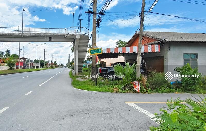 ขาย - ที่ดินท่าศาลา นครศรีธรรมราช, นครศรีธรรมราช