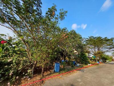 ขาย - ขายถูก ที่ดิน 200 ตร.ว ในหมู่บ้านเมืองเอก ต. หลักหก อ.เมือง ปทุมธานี, ปทุมธานี