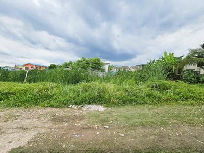 ขาย - ขายที่ดินสายไหม72 แปลงเล็ก 50 ตร.วา เหมาะปลูกบ้าน ราคาถูกมาก รีบจองด่วน, กรุงเทพ