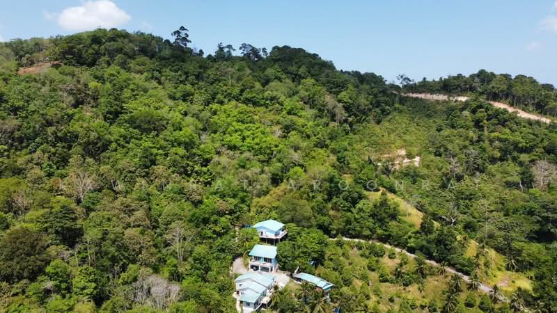 Option To Buy - Phuket, Phuket