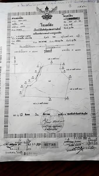 ที่ดินวิวทะเล ป่าตอง ภูเก็ต (บนเขา ใกล้ Wyndham Sea Pearl), ภูเก็ต, Phra Barami Rd., Soi Khuan Yang, Patong, Kathu, Phuket, ป่าตอง, กะทู้, ภูเก็ต, 6,892 ตร.ม., ที่ดิน ขาย, โดย Kawinrat Aroonrat, 60138650 - DDproperty.com