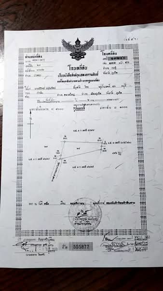 ที่ดินวิวทะเล ป่าตอง ภูเก็ต (บนเขา ใกล้ Wyndham Sea Pearl), ภูเก็ต, Phra Barami Rd., Soi Khuan Yang, Patong, Kathu, Phuket, ป่าตอง, กะทู้, ภูเก็ต, 6,892 ตร.ม., ที่ดิน ขาย, โดย Kawinrat Aroonrat, 60138650 - DDproperty.com