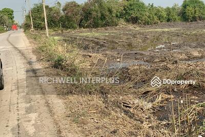 ขาย - ขายที่ดินคูบางหลวง 10 ไร่ ผังสีเขียวติดถนนคอนกรีต ใกล้ถนนกาจนาภิเษกทล.9-400เมตร อ.ลาดหลุมแก้ว, ปทุมธานี
