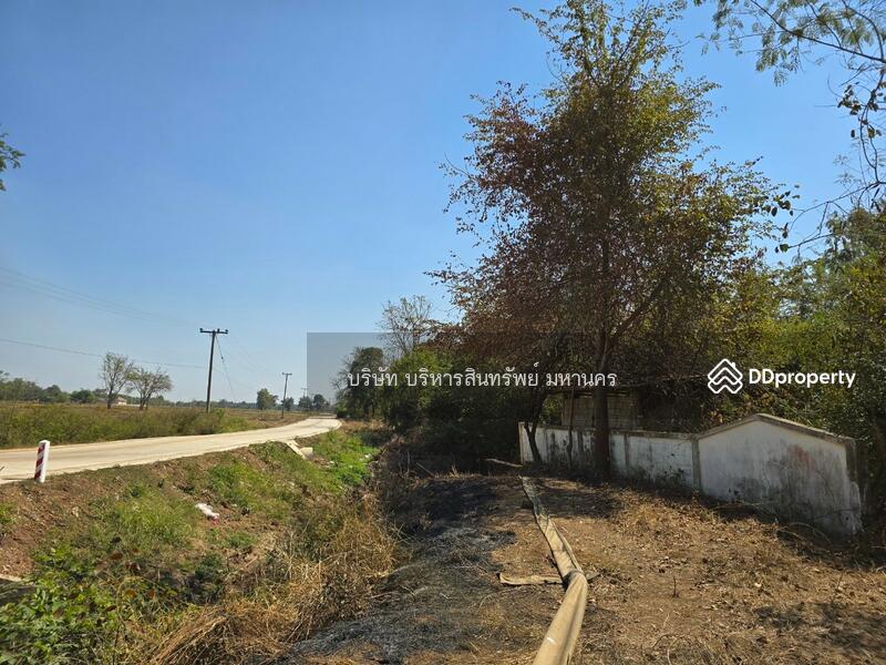 For Sale - Farm land 50 Rai. Chondan,Phetchboon, Phetchabun