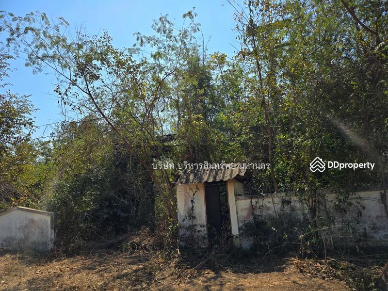 For Sale - Farm land 50 Rai. Chondan,Phetchboon, Phetchabun