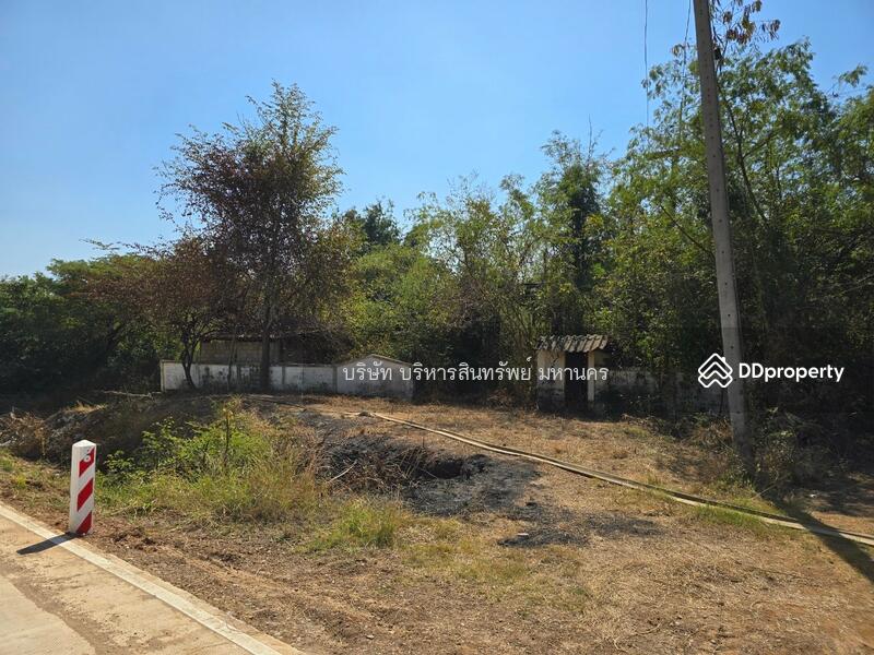 For Sale - Farm land 50 Rai. Chondan,Phetchboon, Phetchabun