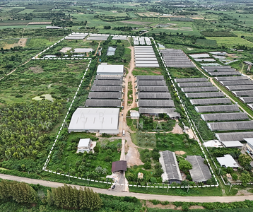 ขาย - จอมบึงฟาร์มหมู, ราชบุรี