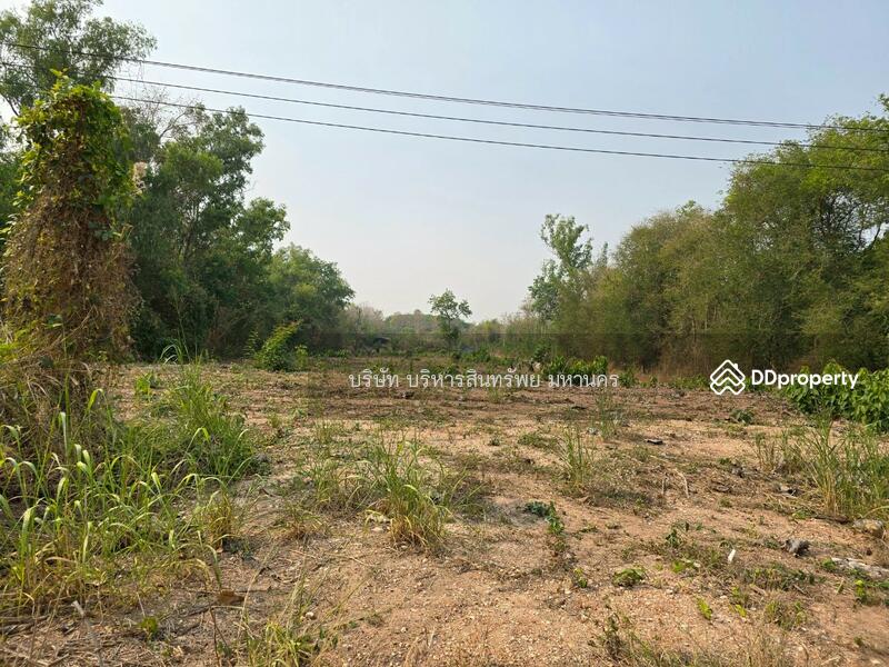 For Sale - Warehouse 10 Rai, in Viengsa, Nan, Nan