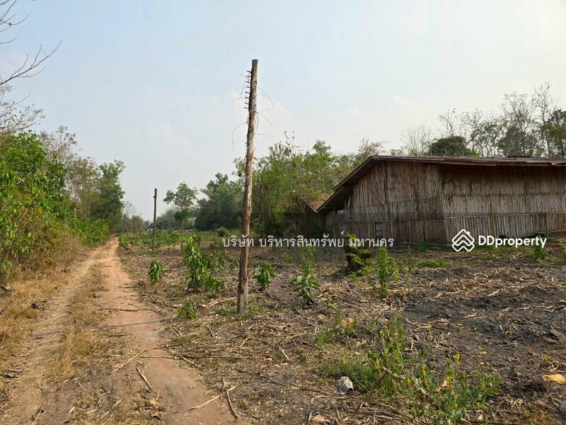 For Sale - Warehouse 10 Rai, in Viengsa, Nan, Nan