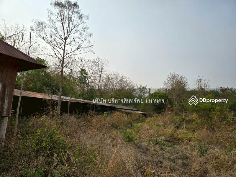 For Sale - Warehouse 10 Rai, in Viengsa, Nan, Nan