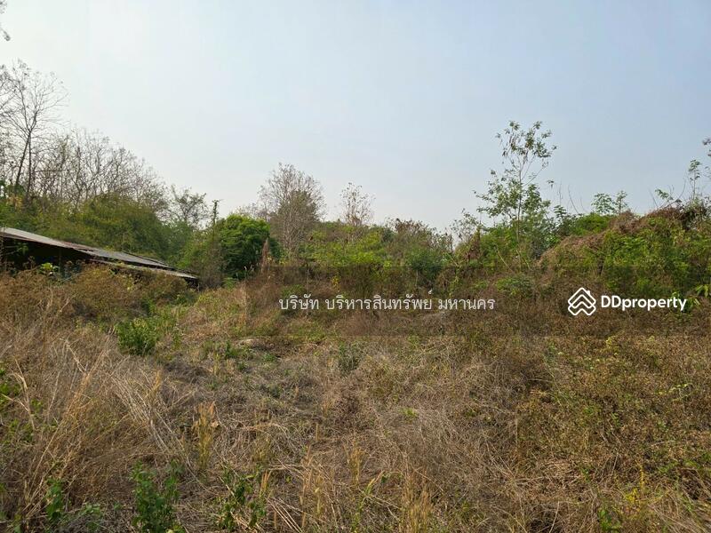 For Sale - Warehouse 10 Rai, in Viengsa, Nan, Nan