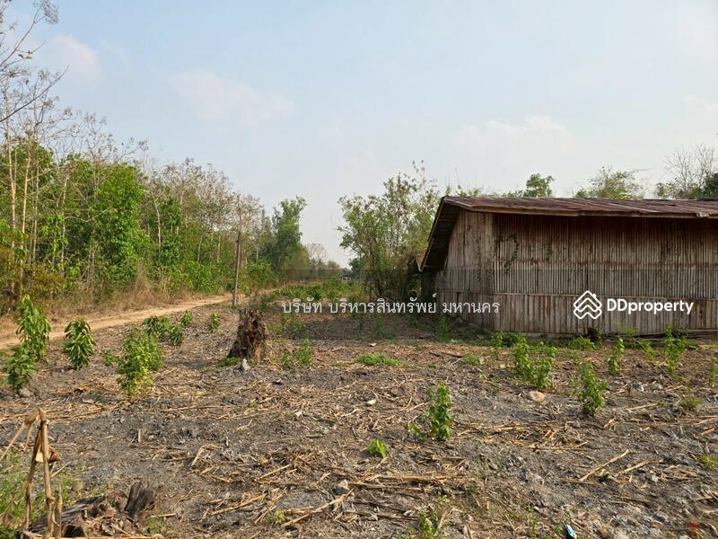 For Sale - Warehouse 10 Rai, in Viengsa, Nan, Nan