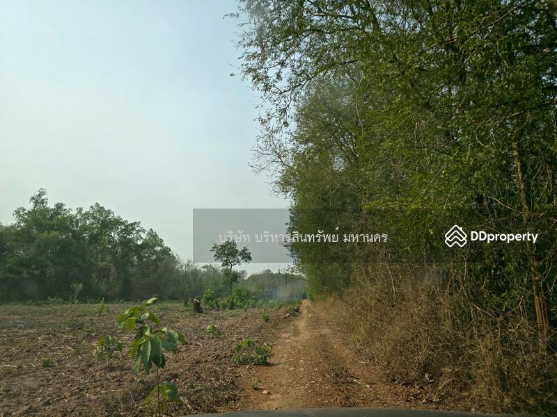 For Sale - Warehouse 10 Rai, in Viengsa, Nan, Nan