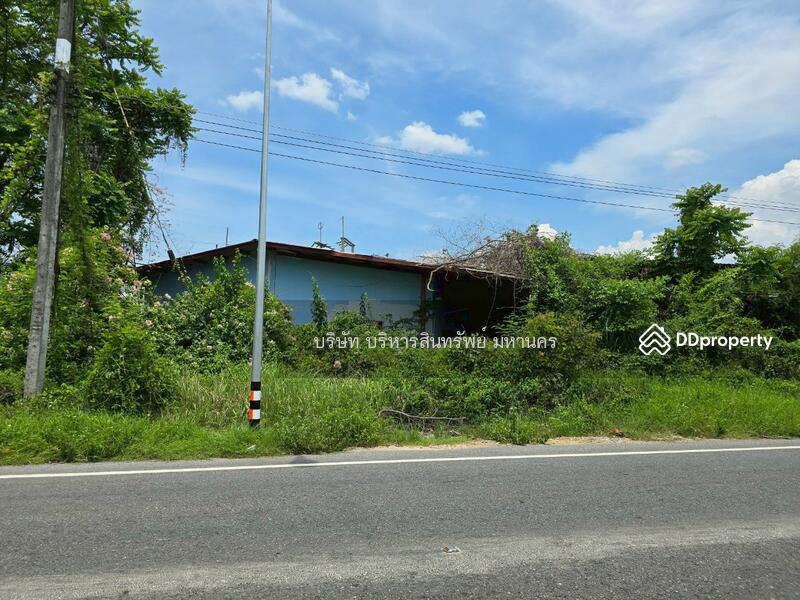 ขาย - โรงอบลำไย เนื้อที่ 2-1-53 ไร่ ต.ดอนเจดีย์ อ.ป่าซาง จ.ลำพูน, ลำพูน