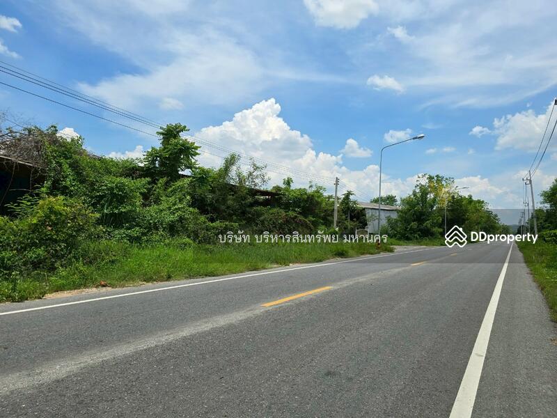 ขาย - โรงอบลำไย เนื้อที่ 2-1-53 ไร่ ต.ดอนเจดีย์ อ.ป่าซาง จ.ลำพูน, ลำพูน