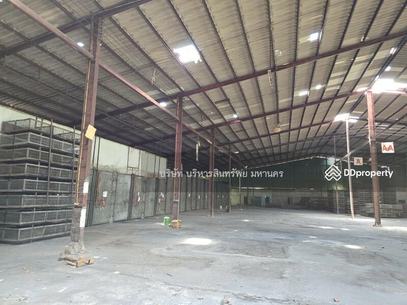 ขาย - โรงอบลำไย เนื้อที่ 2-1-53 ไร่ ต.ดอนเจดีย์ อ.ป่าซาง จ.ลำพูน, ลำพูน